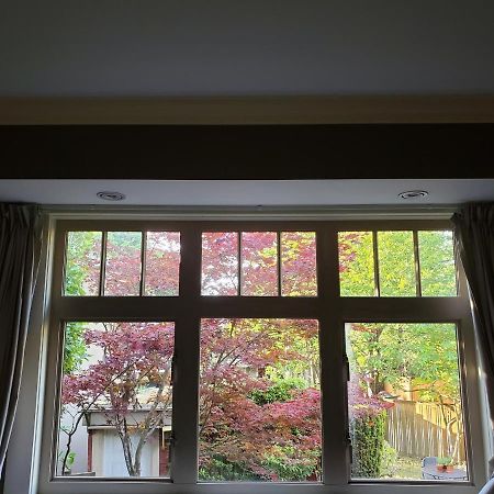 Elegant, Sunny Modern Home With Skylights - Kitsilano, Vancouver Esterno foto